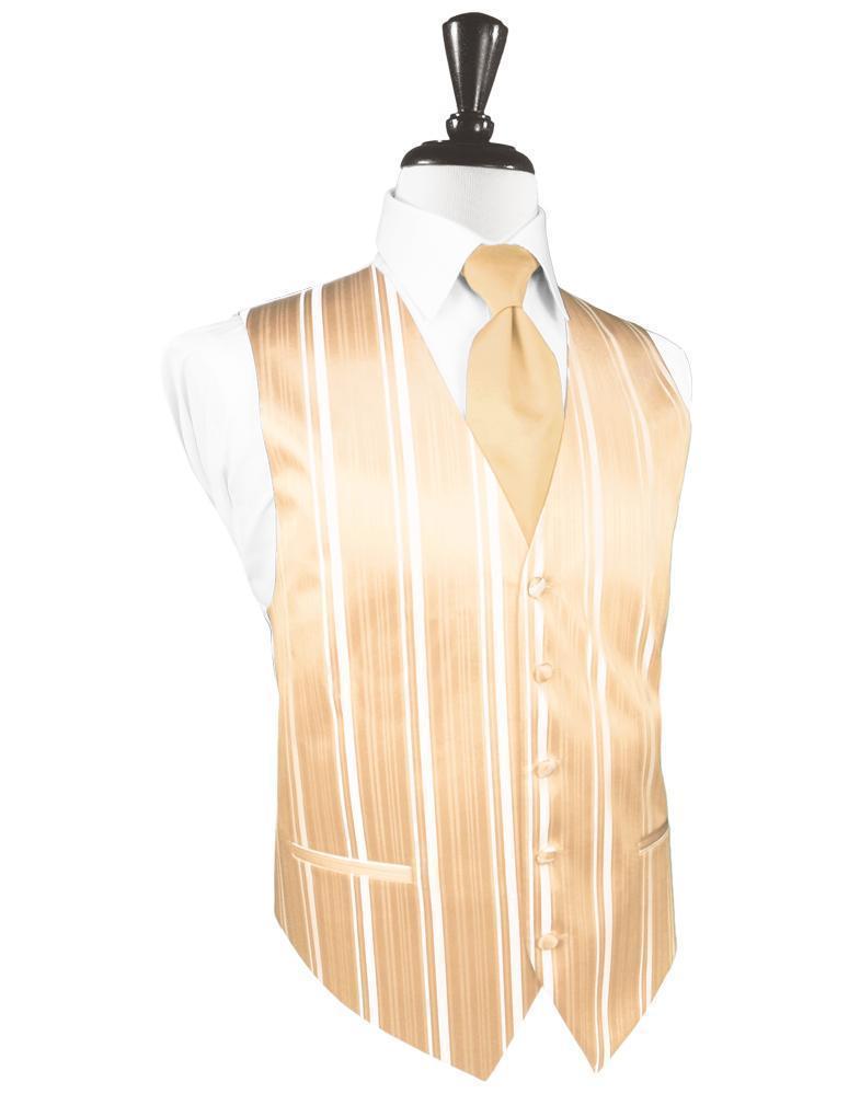 Striped Satin Tuxedo Vest 2